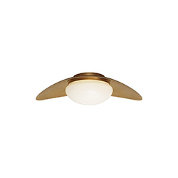 Nouvel中型吸顶灯 Nouvel Medium Flush Mount
